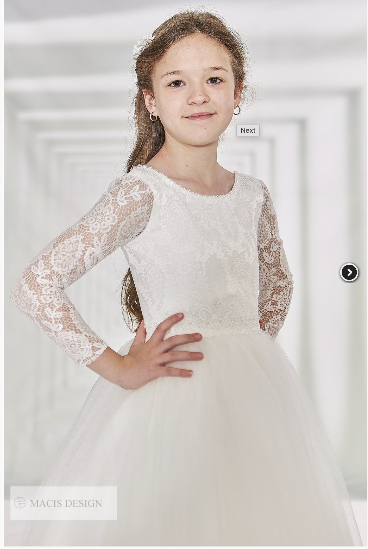 Long Lace Sleeve Dress